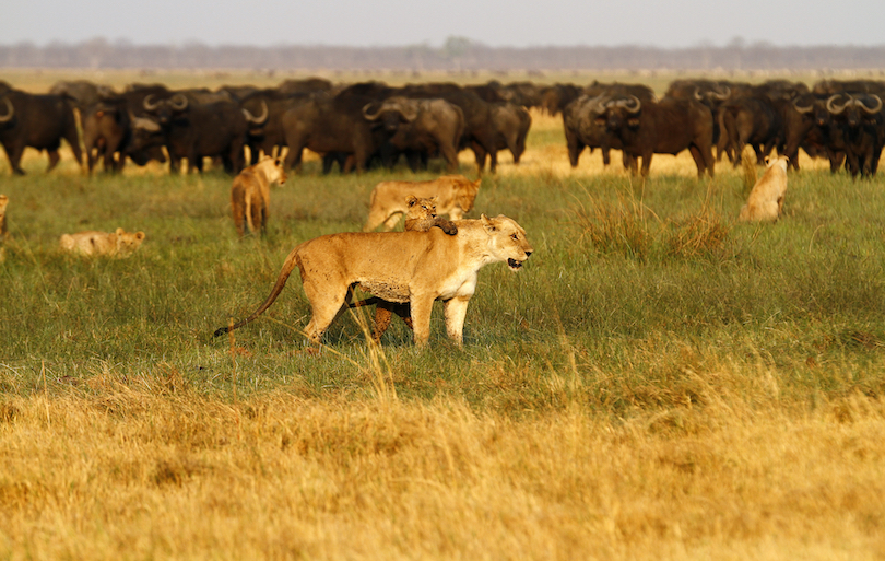 Botswana