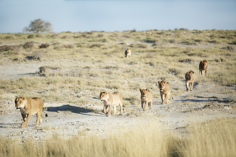 Namibia