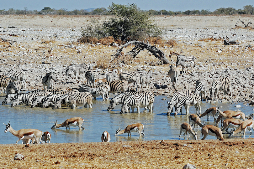 Namibia